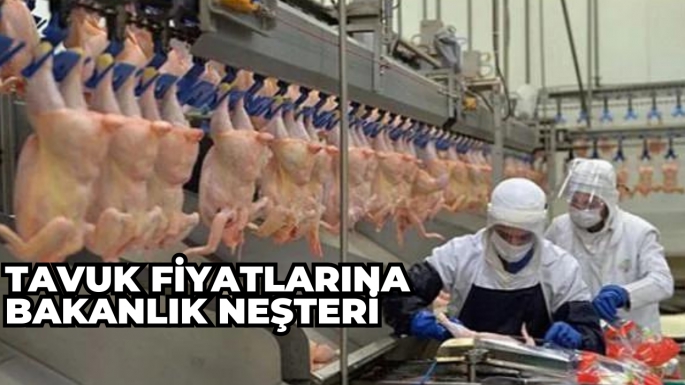 Tavuk fiyatlarına Bakanlık neşteri