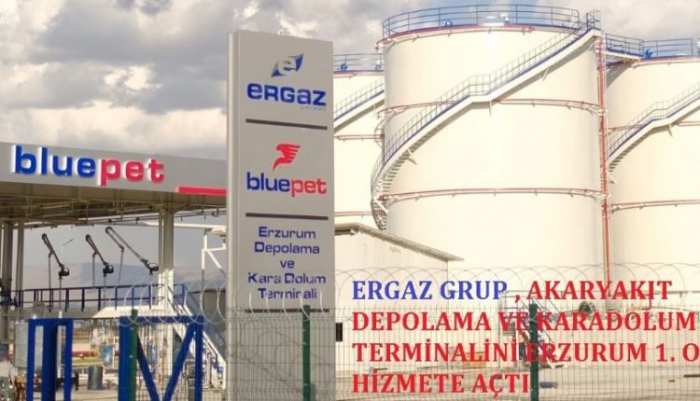 Türkiye Ekonomisine Ergaz enerjisi