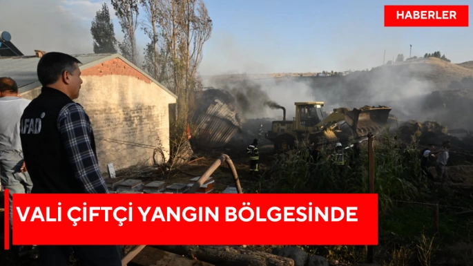 Vali Çiftçi yangın bölgesinde